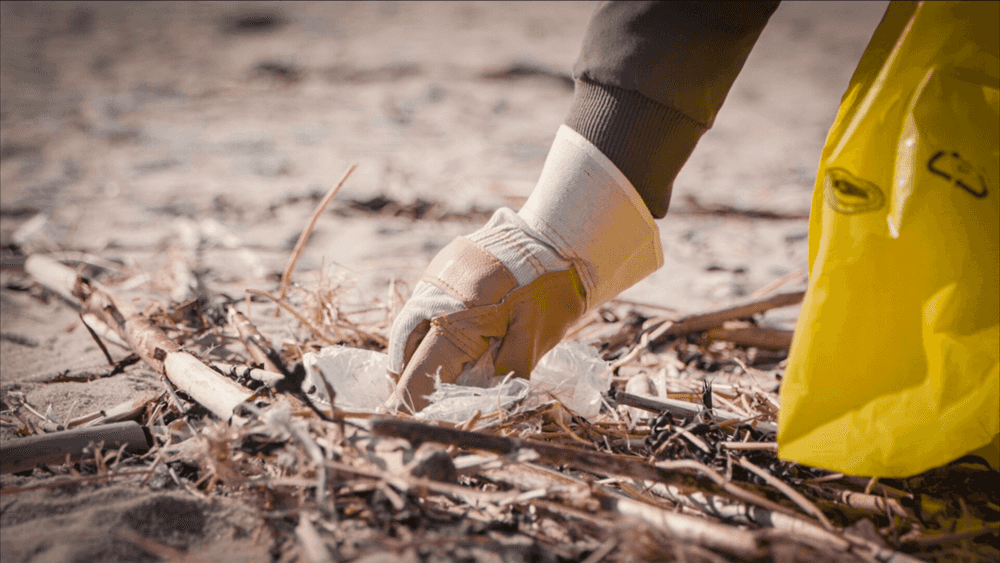 Alle Sylter Strände werden gereinigt